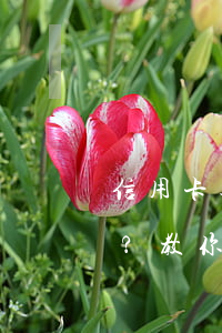 信用卡逾期還不上如何避免被起訴？教你有效躲避方法！